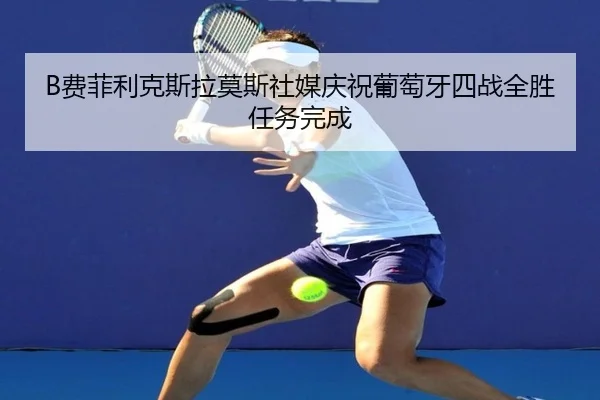 B费菲利克斯拉莫斯社媒庆祝葡萄牙四战全胜任务完成 | WukongSports